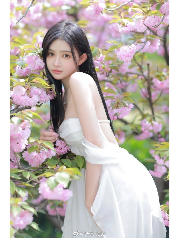 年会不能停